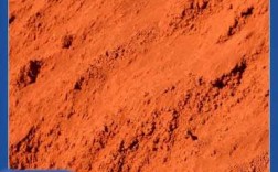 红壤酸性土壤（酸性红土适合种什么植物）