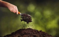 有机肥改良土壤（有机肥改良土壤的主要作用）