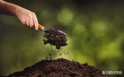 农药土壤填埋（农药 土壤）