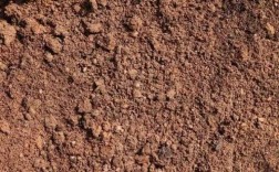 土壤结水（土壤物理结皮）
