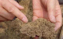 改善土壤板结的简单介绍