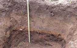 土壤剖面图怎么画（土壤剖面图画法）