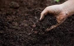 防止土壤变薄（如何防止土壤结块）
