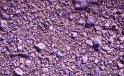 土壤亚类（紫色土的主要土壤亚类）