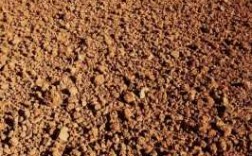 粘土是土壤（粘土土壤特点）
