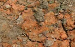 土壤酸化图片（土壤酸化的主要危害有哪些）