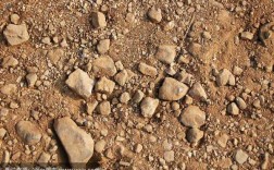 土壤上放石头（石头和土壤的关系）