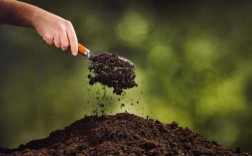 土壤是肥料吗（土壤具有肥力吗）