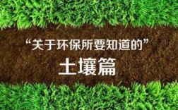 改善土壤生态（土壤生态环境）