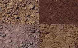 土壤中有（土壤中有大颗粒的什么中等颗粒的什么和细小颗粒的什么）