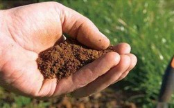 酸性土壤怎么调理调理（酸性土壤的坏处）
