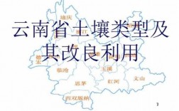云南省土壤分布（云南省土壤分布地图）