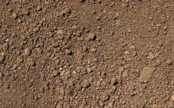 15cm土壤（土壤75）
