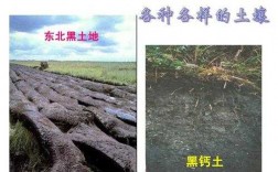 华北的土壤类型（华北地区土壤特征）