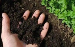化肥土壤挥发（化肥挥发有毒吗）