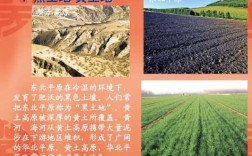 华北平原土壤类型（华北平原的典型土壤主要是什么）