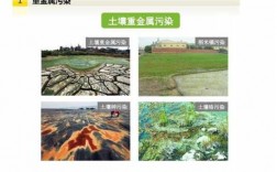 中国土壤镉（中国土壤镉污染现状）