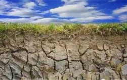 干旱的土壤（干旱的土壤含氟量高吗）