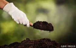 增加土壤肥力（增加土壤肥力的方法有哪些）