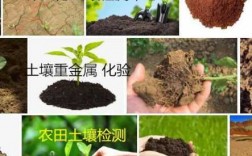 土壤活效素（活性土壤）