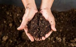 改变土壤蓬松（土壤蓬松改良方法）
