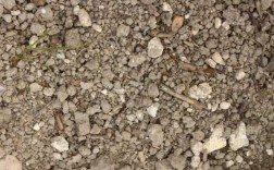 白垩土壤（白垩土壤的特性）