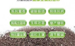 土壤添加剂（土壤加什么增加营养）