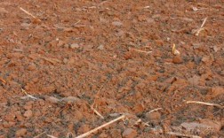 棕土壤图片（棕壤土形成原因）