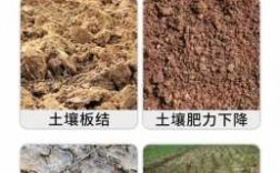盐碱化土壤改良（盐碱土壤改良剂什么价格）