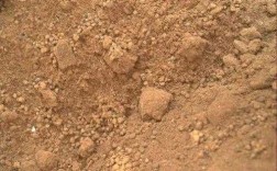 沙质地土壤（沙质土壤的优点和缺点）