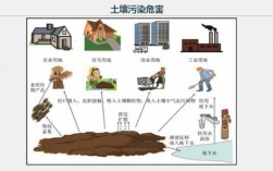 土壤污染过程（土壤污染过程怎么写）