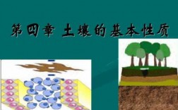 土壤理化性质（土壤理化性质包括哪些）
