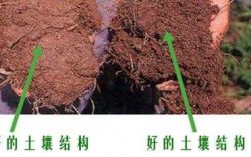 土壤的判断（如何识别土壤的好坏）