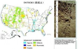 美国土壤质地（美国土壤质地特点）
