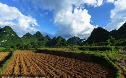 越南的土壤（越南土壤出口现状）