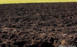 肥沃土壤氮磷（火山灰是肥沃的土壤吗）
