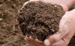 土壤沙石多（土壤含沙量大怎么办）