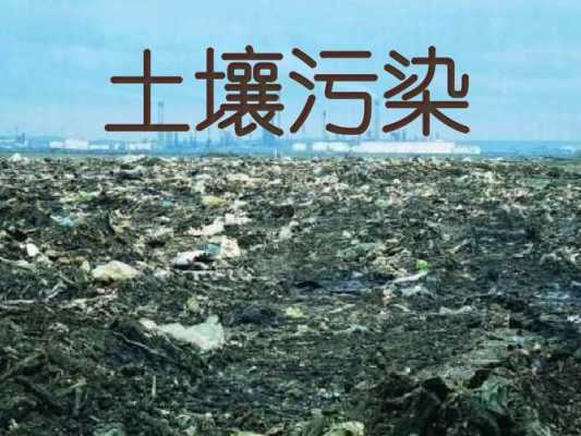 土壤污染宁夏（宁夏土壤问题）-图1
