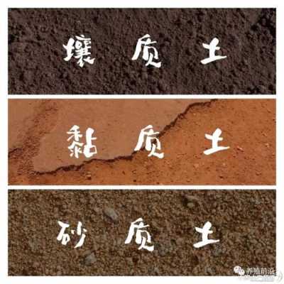 粘土壤（粘土壤土砂土）-图1
