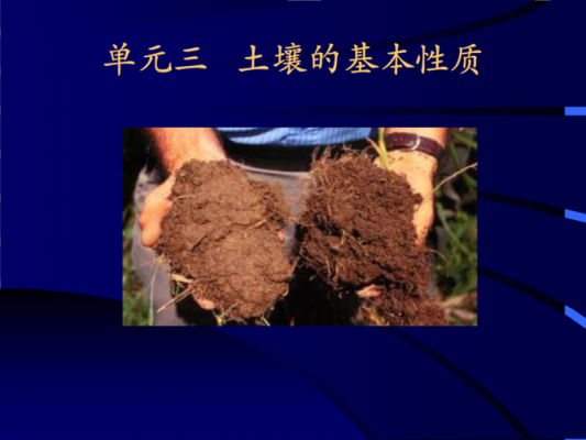 知识土壤（土壤的知识精选图片）