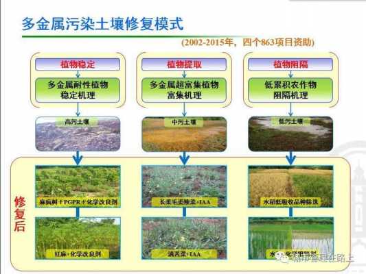 土壤氮污染（土壤氮含量过高怎么办）-图3