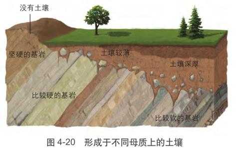 土壤与母岩（岩石母质土壤三者有何区别?）-图2