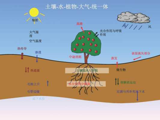 土壤植物大气连续体（土壤植物大气连续体中的水）-图2