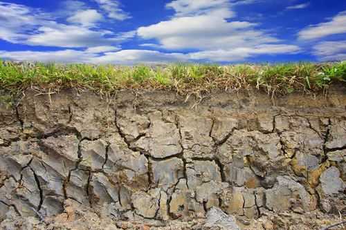 干枯的土壤（干枯土壤中水份为啥不蒸发）-图1