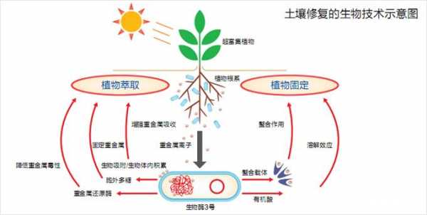 包含江西赣州土壤修复项目的词条-图3