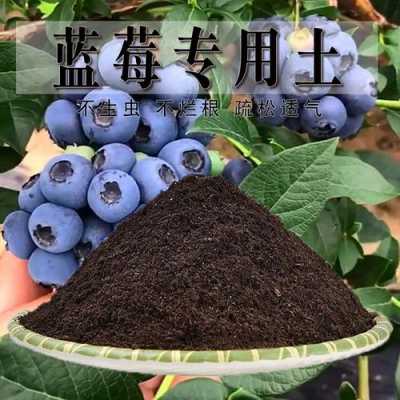 种蓝莓的土壤（种蓝莓的土壤要发酵多久才能用）-图3