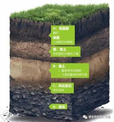 土壤中磷酸铁形态的简单介绍-图2