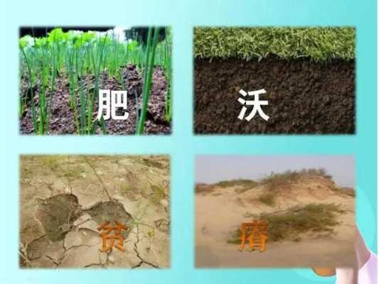 区分酸性土壤（什么是酸性土壤?如何区分?）