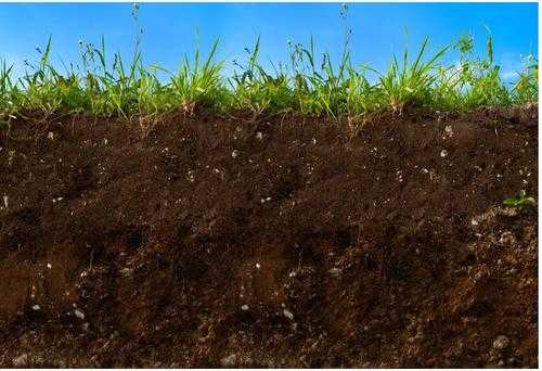 土壤增温材料（模拟土壤的材料）-图3