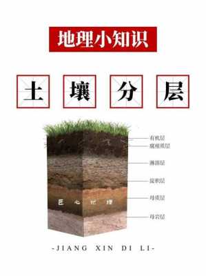 土壤的垂直分布的简单介绍-图1